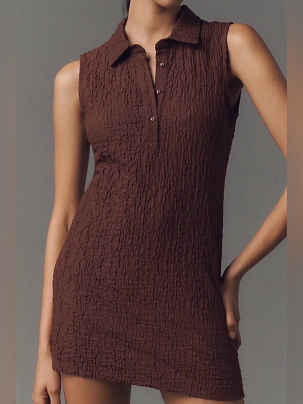 NWT Anthropologie Textured Mini Shirt Dress in Chocolate Brown (Sz Large Petite)